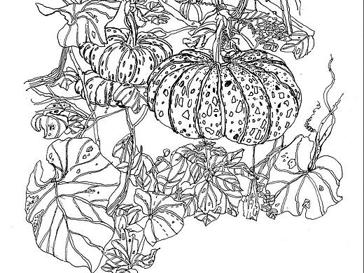 2018年浙江文成寫生（個人主頁-ZNDI5NDExMTI=） - 創(chuàng)作習作 - 站酷設(shè)計師羔小羊GXY原創(chuàng)素材 - 站酷ZCOOL