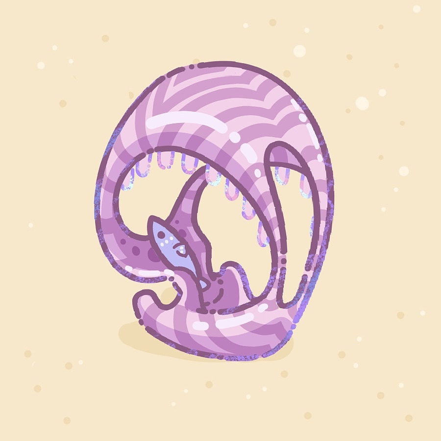 Cheya的赶海日记