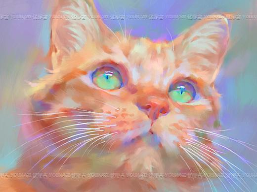 把你画成画|人物 猫|厚涂肖像画