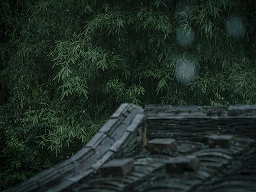 一蓑烟雨任平生。 ​​​​