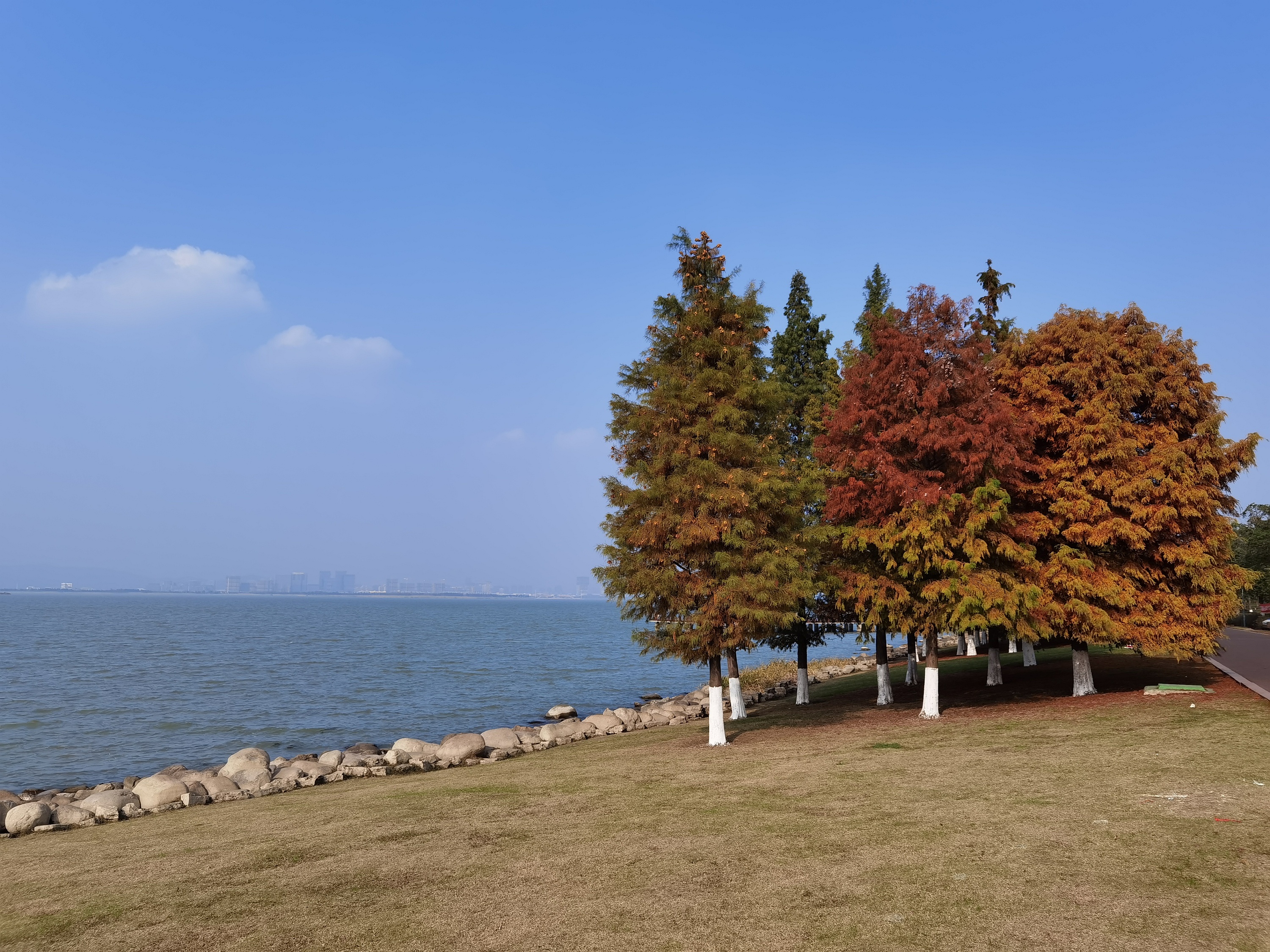 东太湖-冬-随拍