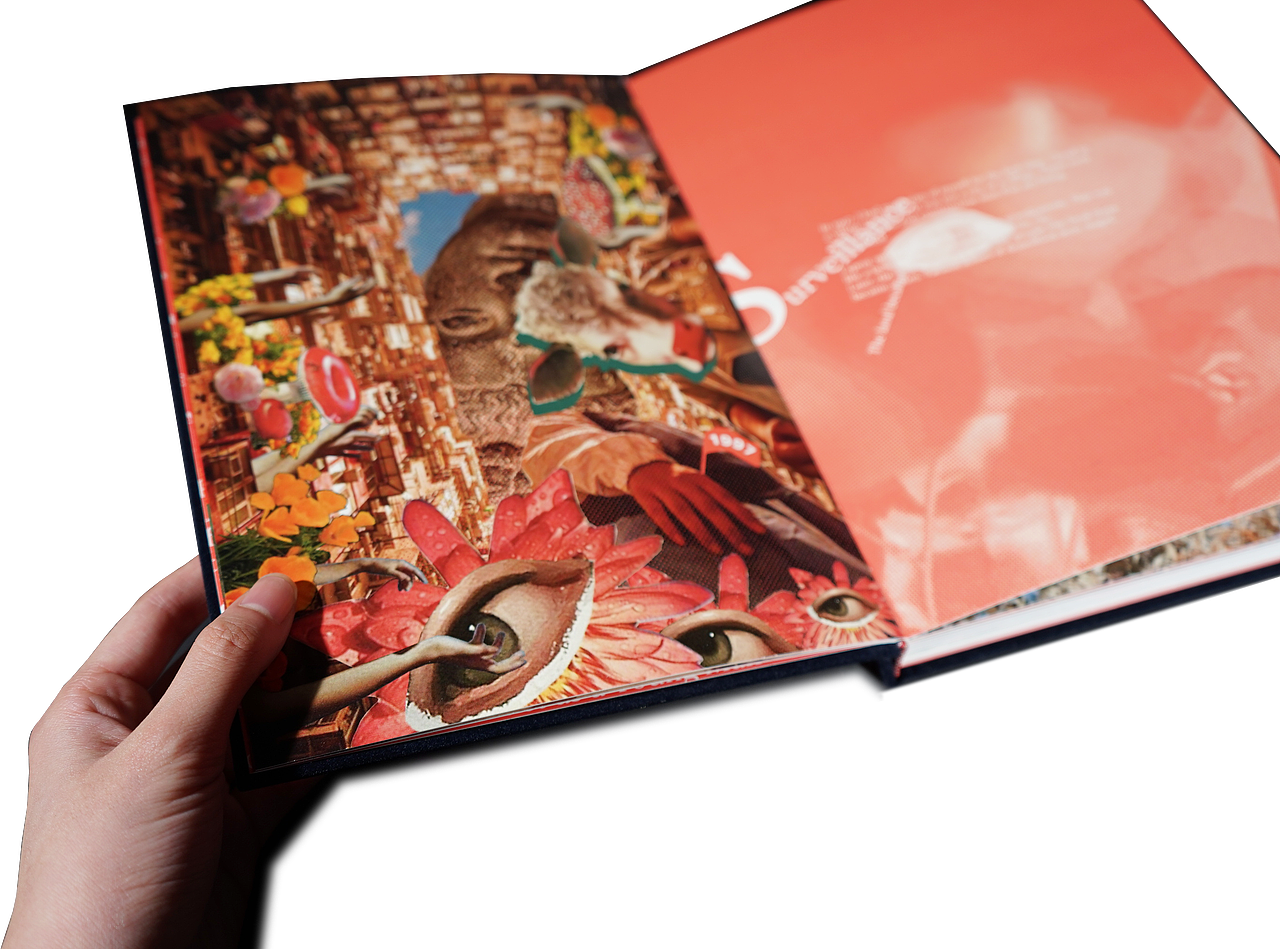 A Portrait of the Artist as a Young Man（图ZMjM4NjAxNDU2） - 书籍/画册 - 站酷设计师杭成成原创素材 - 站酷ZCOOL