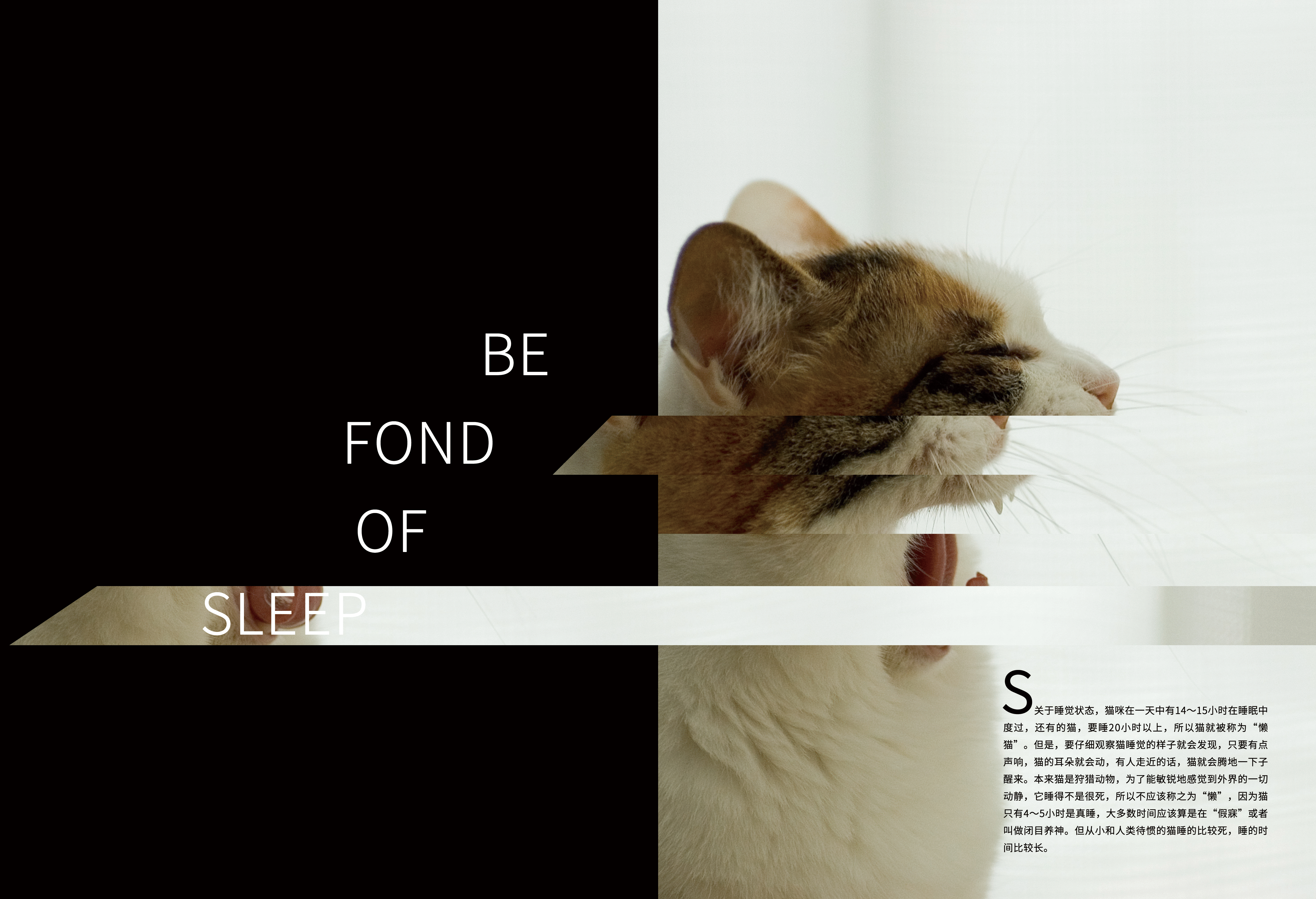画册（图ZNzQxNDkyMDA=） - 书籍/画册 - 站酷设计师猫思维的小宇宙原创素材 - 站酷ZCOOL