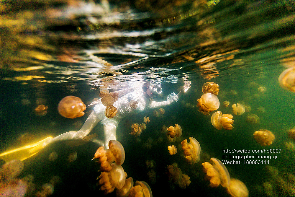 水下摄影（图ZNDUxNTYyNTI=） - 人像摄影 - 站酷设计师摄影师黄棋原创素材 - 站酷ZCOOL