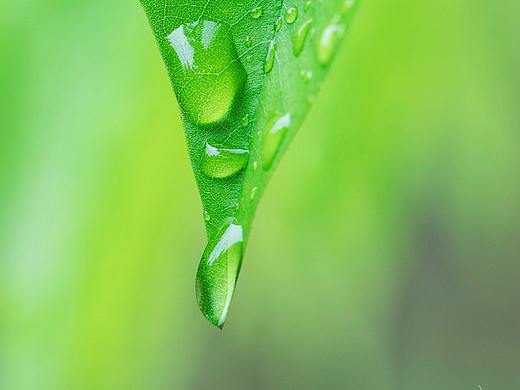 多姿多彩大自然（个人主页-ZNDI1OTI2NTI=） - 风光摄影 - 站酷设计师李翔DennisLee原创素材 - 站酷ZCOOL