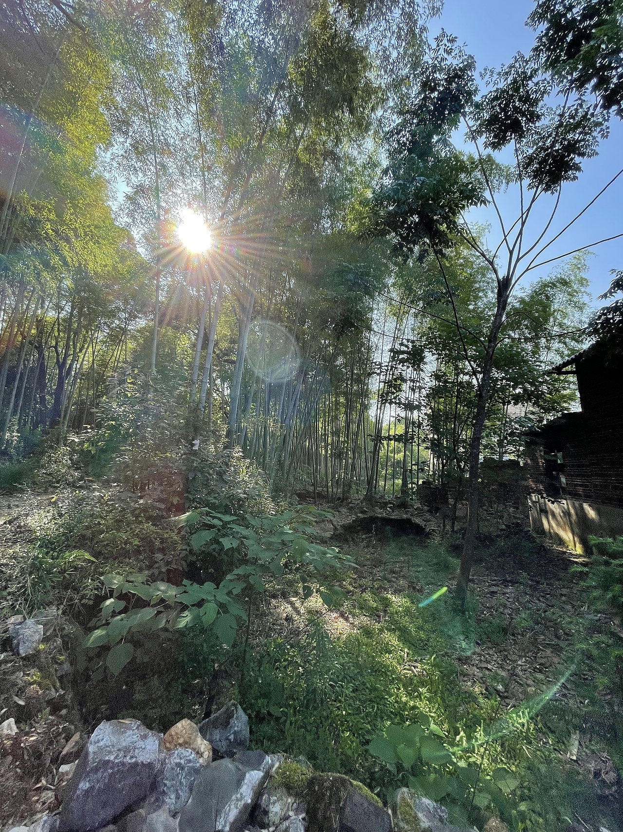 五一假期（图ZMjk5ODUxODU2） - 风光摄影 - 站酷设计师关尔zheng原创素材 - 站酷ZCOOL