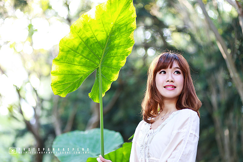 莲花山下的杜鹃花