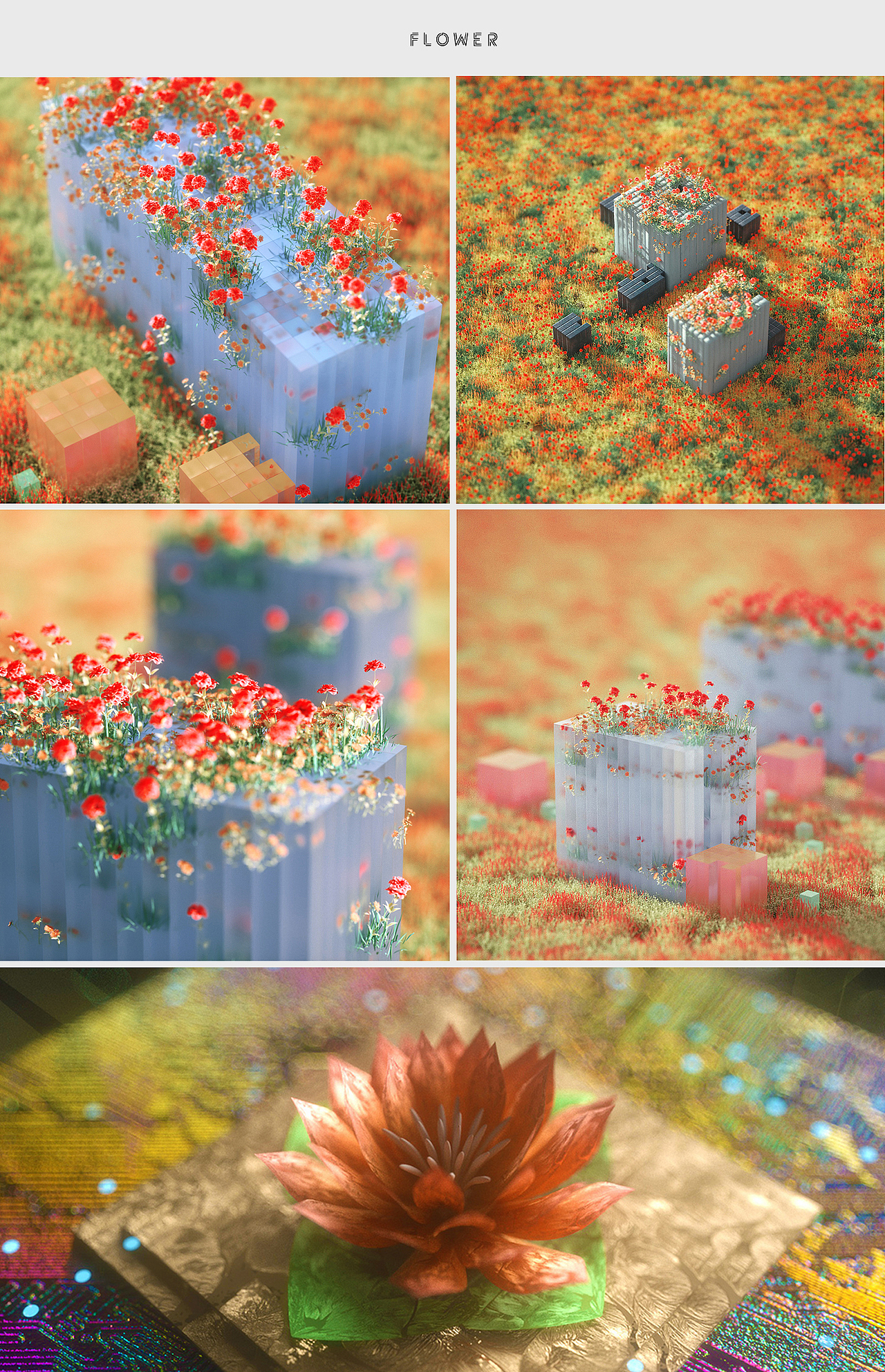 二小毛的2019总结（图ZMTkzMDQxNTQw） - 其他三维 - 站酷设计师二毛biubiubiu原创素材 - 站酷ZCOOL