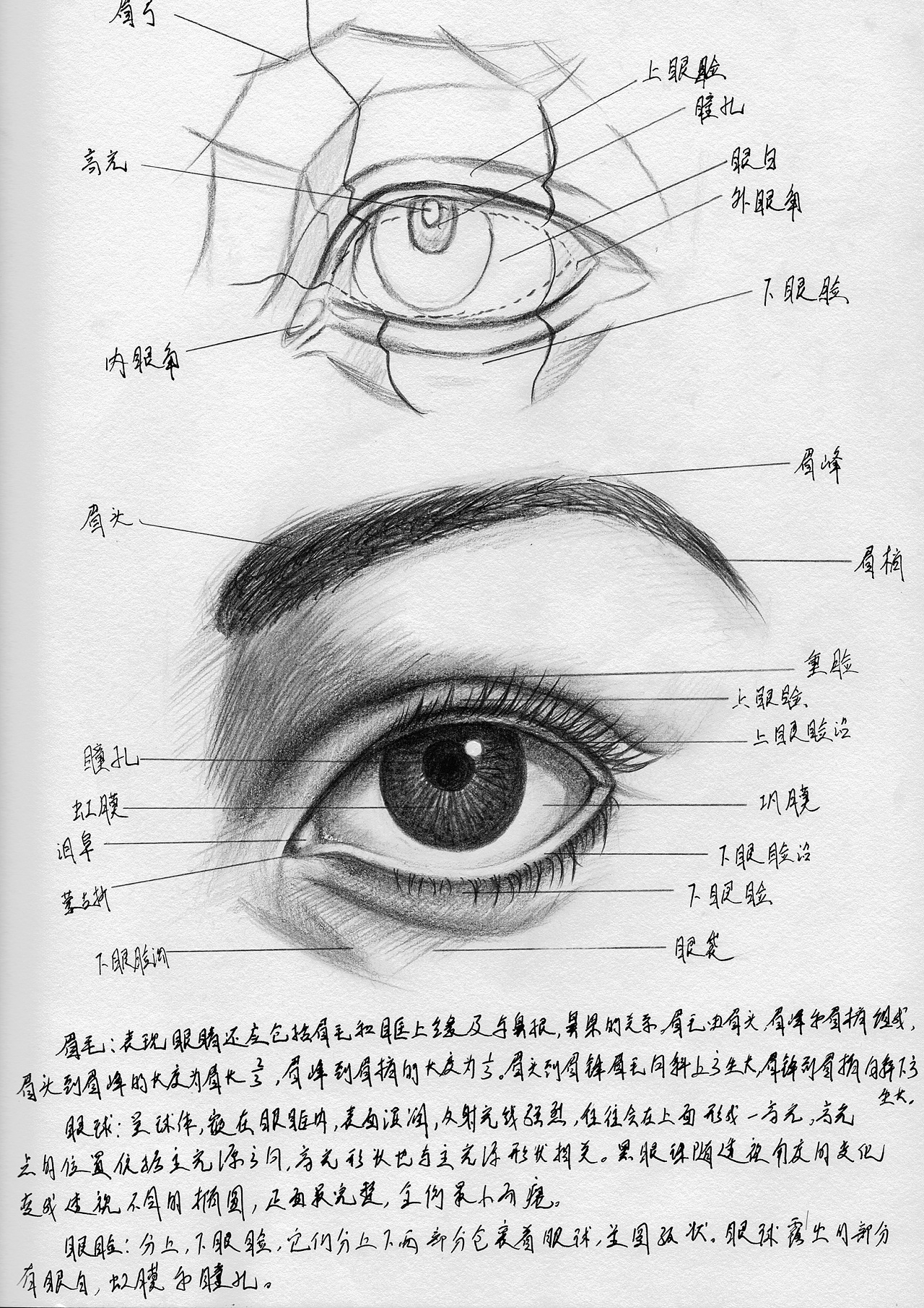 素描人像笔记之眼睛练习