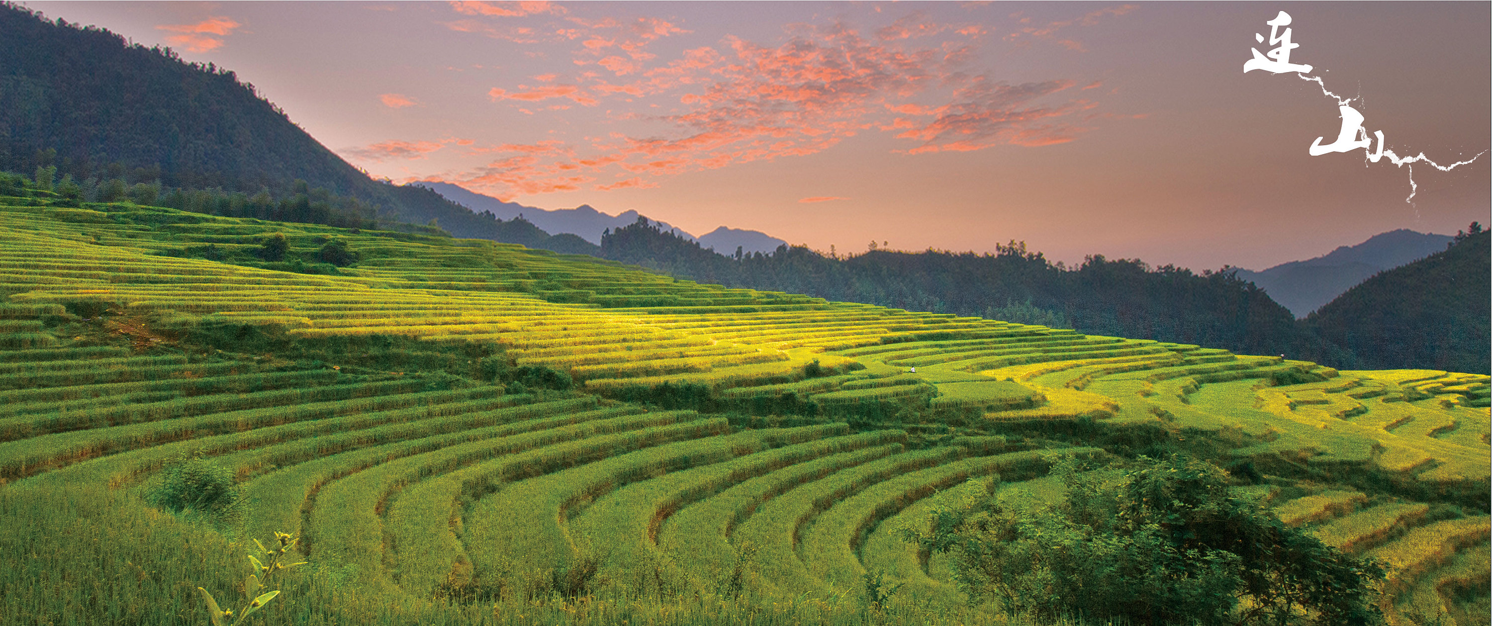 美轮美奂的欧家梯田!