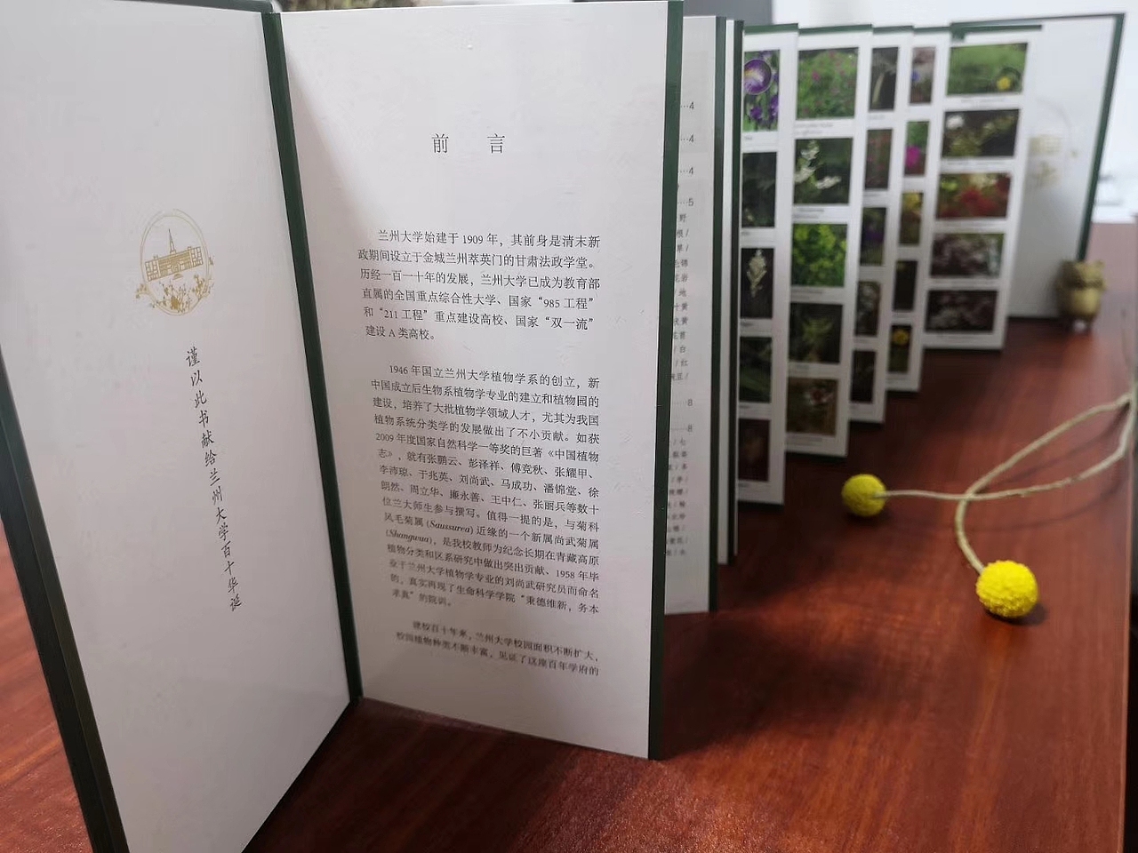 图书（画册）装帧设计（图ZMjI5OTg2NjAw） - 书籍/画册 - 站酷设计师大有工作室原创素材 - 站酷ZCOOL