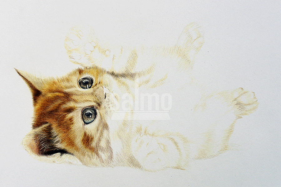 喵~（图ZNjMyNjU4ODQ=） - 绘画 - 站酷设计师xuanye1836原创素材 - 站酷ZCOOL