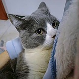 LIYULIAN3的头像