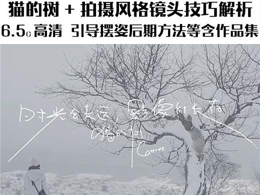 猫的树拍摄风格镜头技巧解析，治愈系清新微电影前后期教程