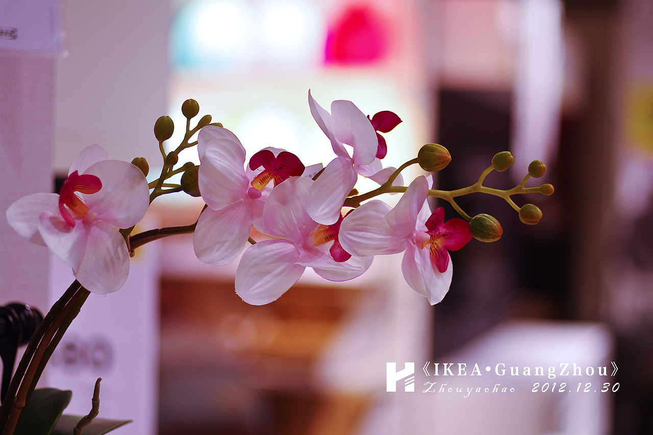 《IKEA.GuangZhou》广州宜家家居（图ZNzkyNTgxMg==） - 产品摄影 - 站酷设计师haodychou原创素材 - 站酷ZCOOL