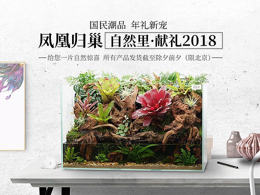 电商类页面合集