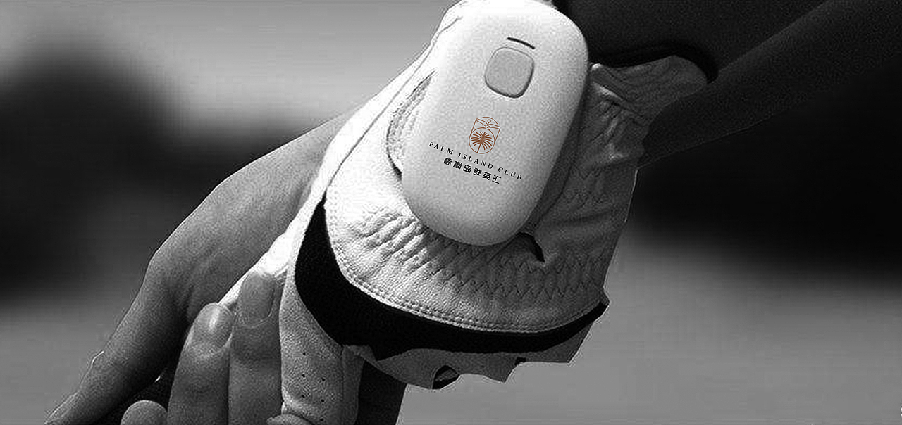 棕榈岛群英汇高尔夫会所LOGO设计