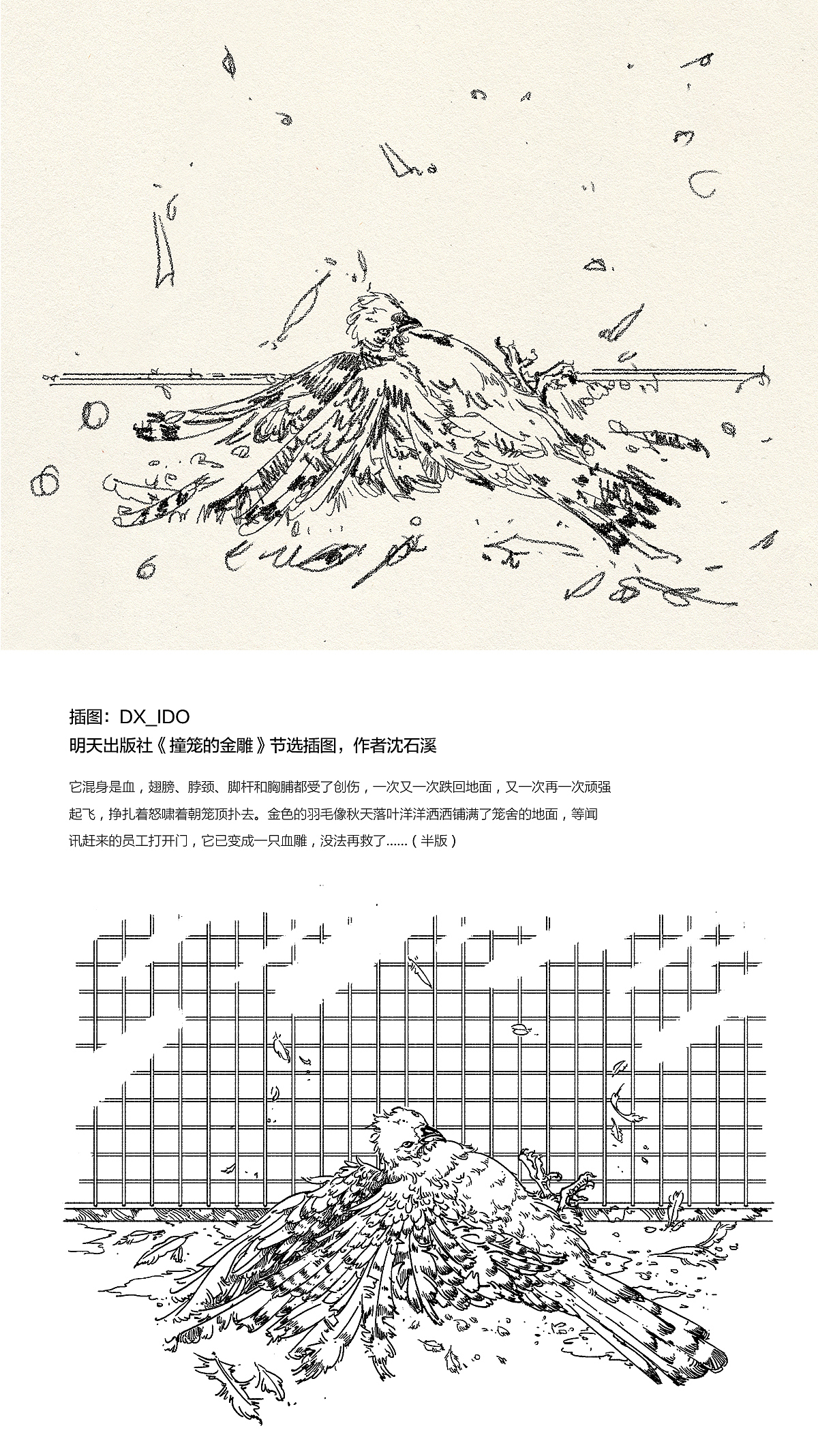 2189  一些插图整理