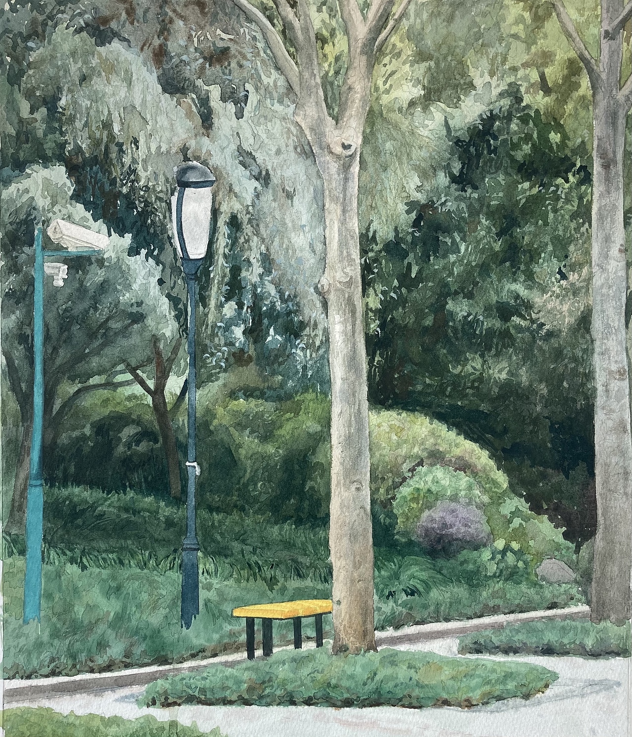 水彩创作（图ZMjY2MzE2NzQ0） - 艺术插画 - 站酷设计师熊牌奶茶原创素材 - 站酷ZCOOL