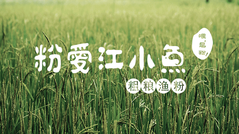 粉爱江小鱼VI设计（图ZNzQwOTM2MjA=） - 品牌 - 站酷设计师singasang原创素材 - 站酷ZCOOL