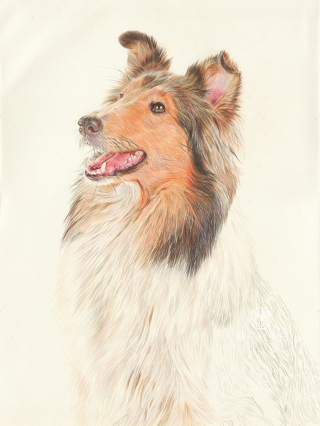 彩铅画喜乐蒂牧羊犬-阿沁作品（图ZMTEzMzUwNTI4） - 绘画 - 站酷设计师煜芮原创素材 - 站酷ZCOOL