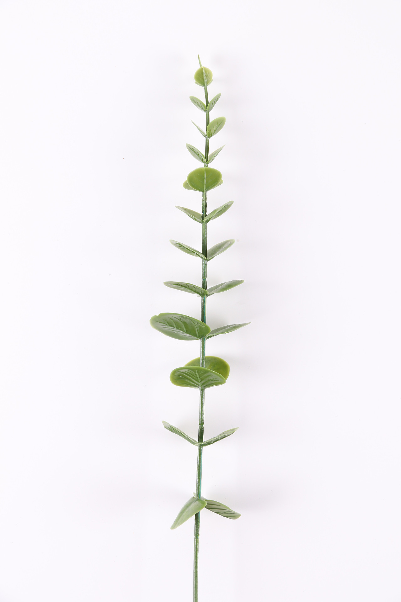 B03家居饰品\C11-仿真饰品\V06仿真尤加利叶X1