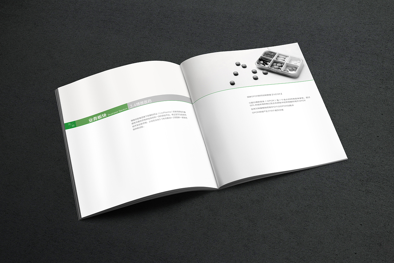 企业画册（图ZODA4ODA2ODA=） - 书籍/画册 - 站酷设计师艺海泛亚原创素材 - 站酷ZCOOL