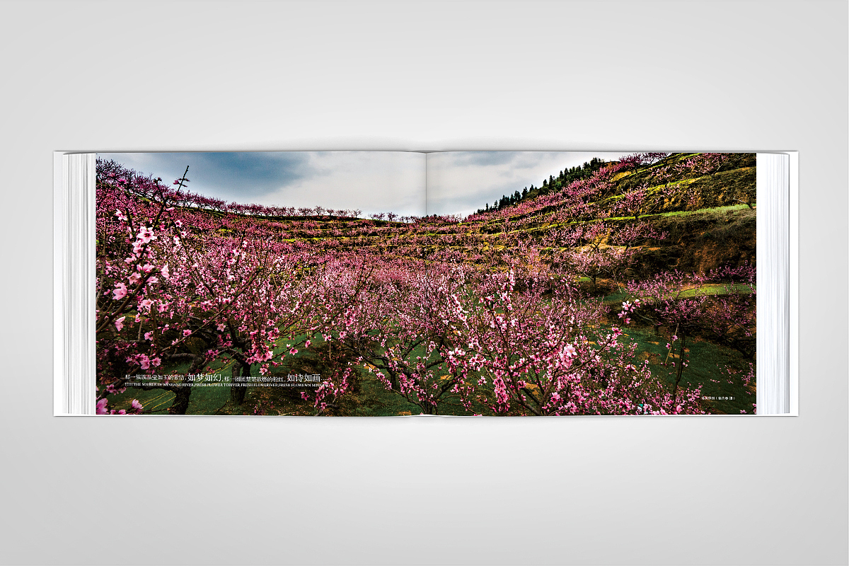 清新花香·福源建宁-精装画册-源艺设计