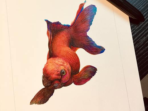 谭伯虎圆珠笔画作品《年年》