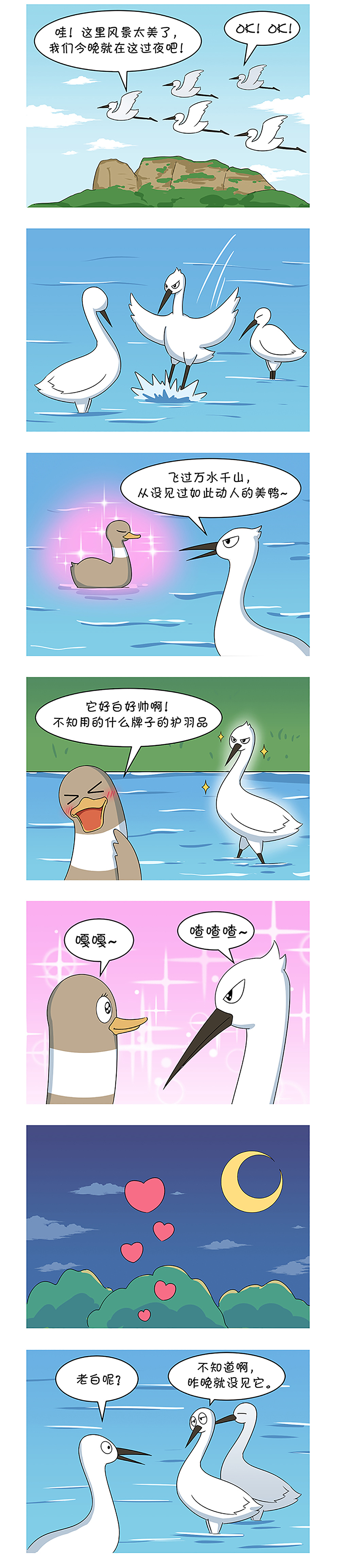 丫不嘿的乡野生活-连城白鸭到底会不会飞?!