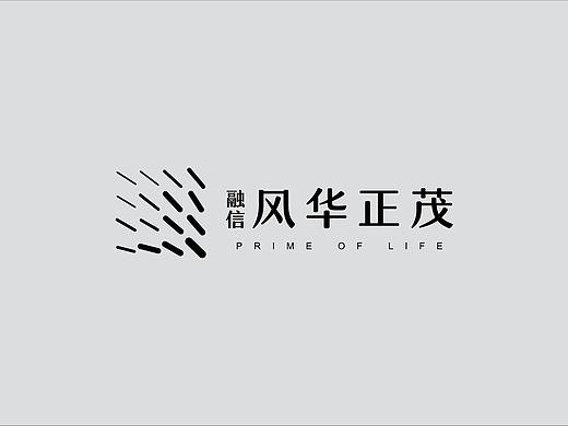 风华vi