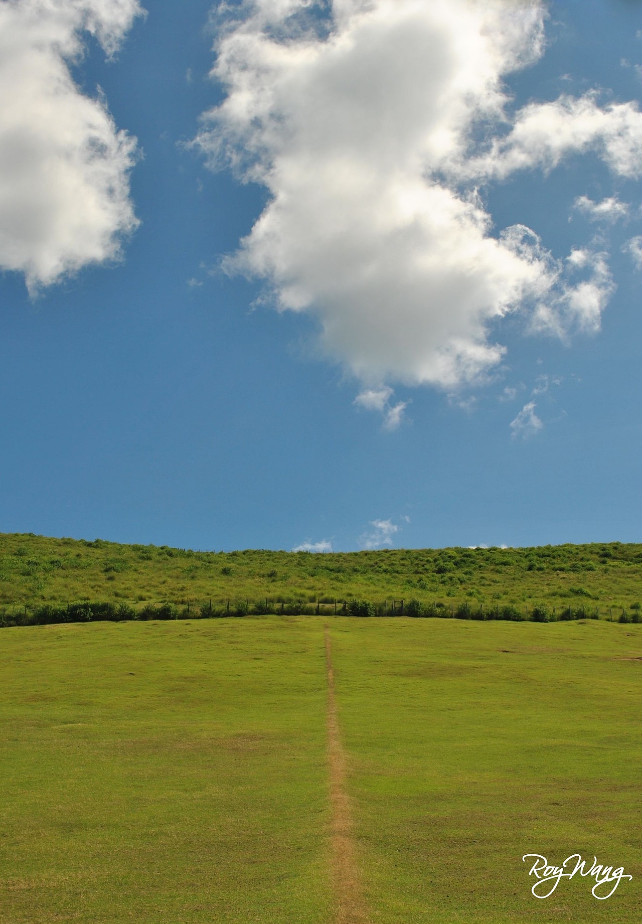 RoyWang作品 奈良之夏（图ZMTQ1NjUwOA==） - 风光摄影 - 站酷设计师Roywang光绘艺术原创素材 - 站酷ZCOOL