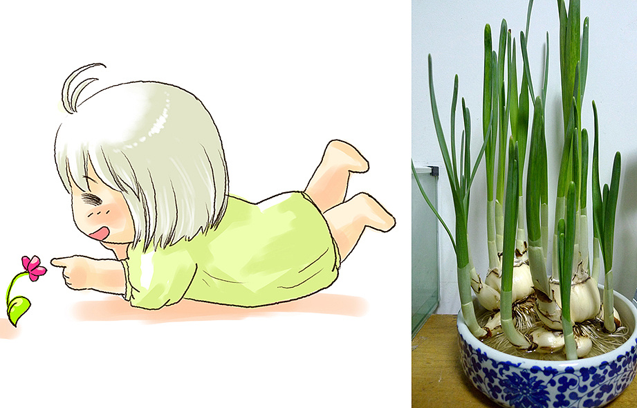 伪光源氏计划-水仙育成书