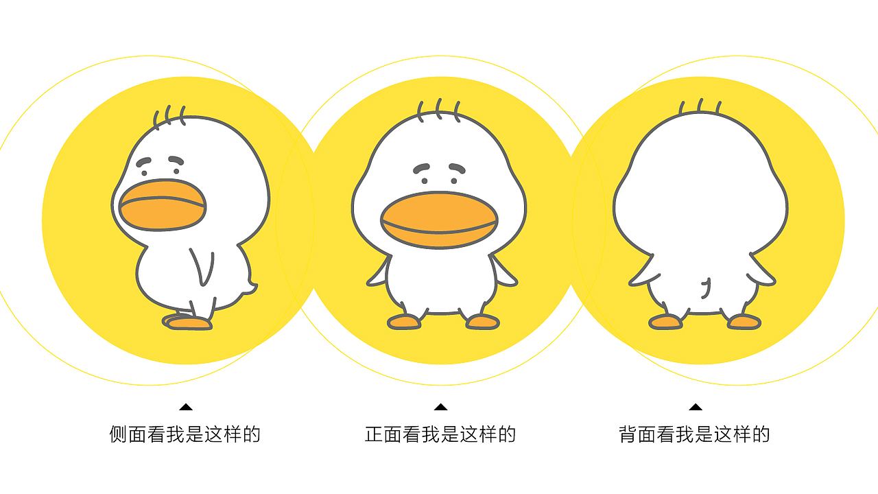 来个三视图让大家仔仔细细看看我