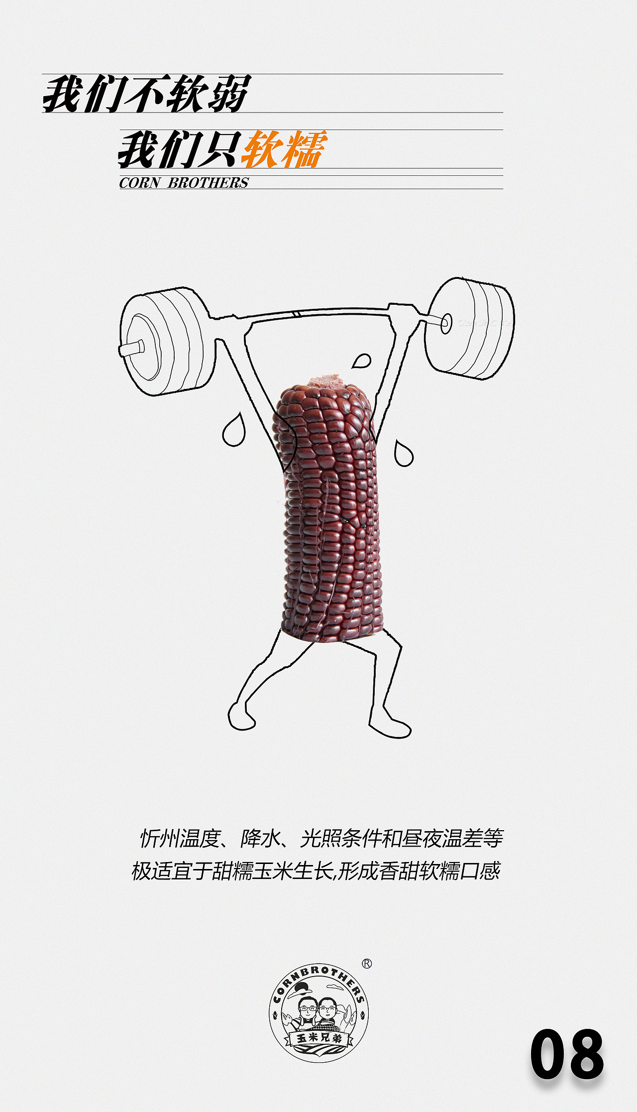 有机黑玉米