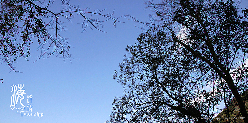 翻出来的海洋·海洋乡