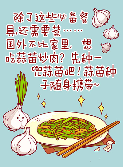 吃货攻略之--出国你都带了啥