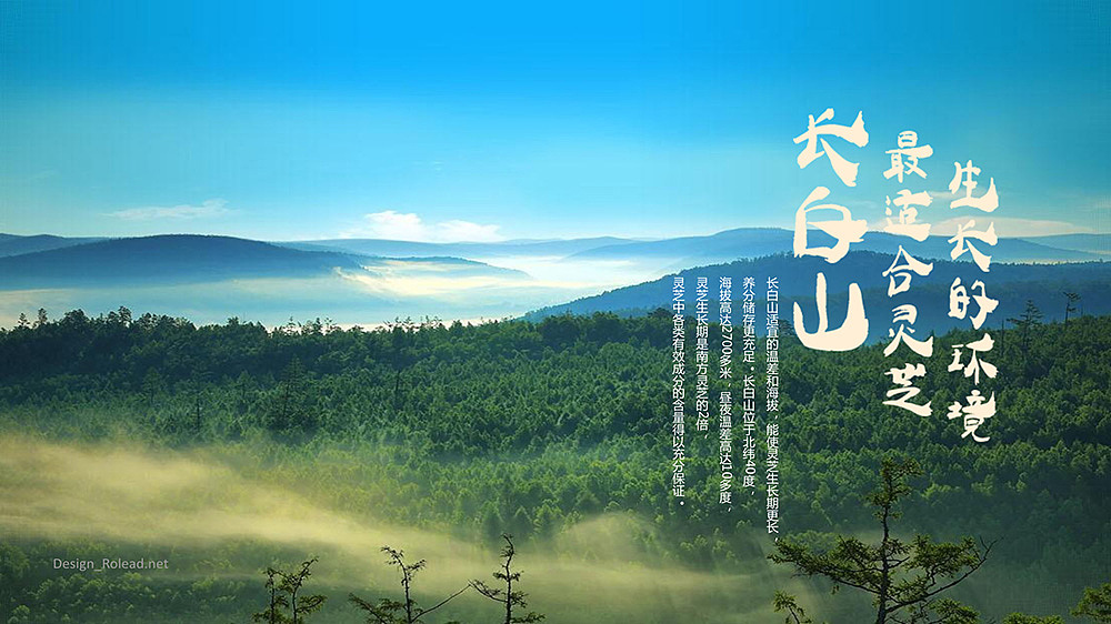 角色品牌 互联网思维下的包装形象重塑设计