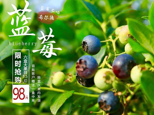 蓝莓推广图（个人主页-ZNDUzOTMyNzY=） - 海报 - 站酷设计师Taurus_Li原创素材 - 站酷ZCOOL