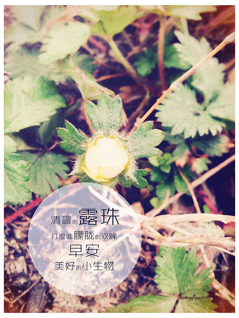 被梦唤醒 唯美壁纸（附件压缩包）（图ZMTQ3NTA0MjA=） - 风光摄影 - 站酷设计师段浪原创素材 - 站酷ZCOOL
