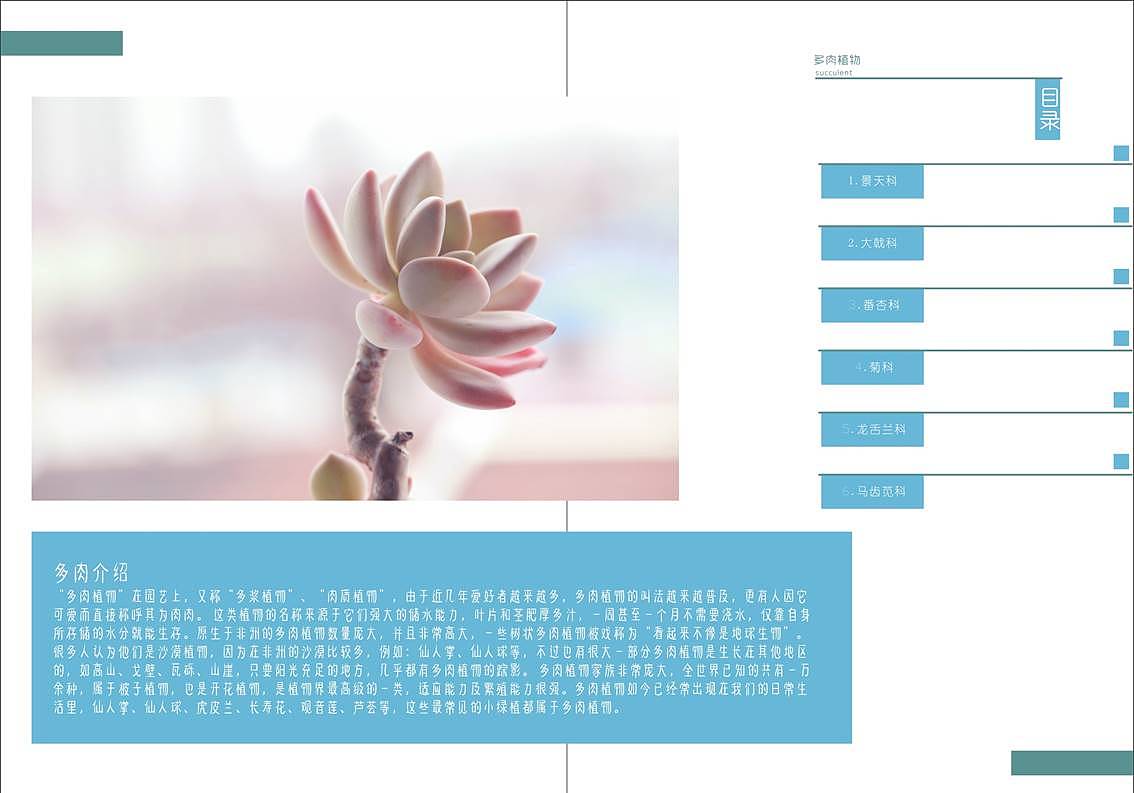 胖一点多肉手册（图ZMTY5NDAxNzM2） - 书籍/画册 - 站酷设计师纸袋原创素材 - 站酷ZCOOL