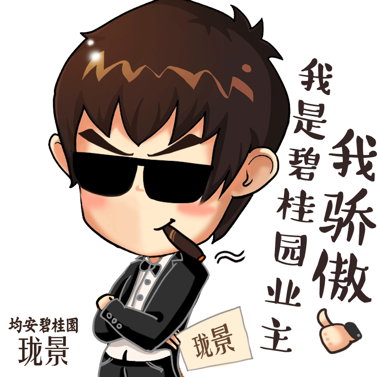 碧桂园 珑景 小珑