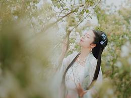 梦归人 | 古风MV