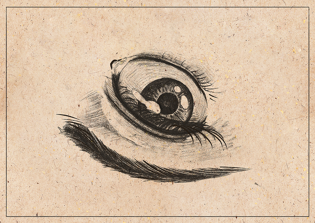 短篇故事《樱花》