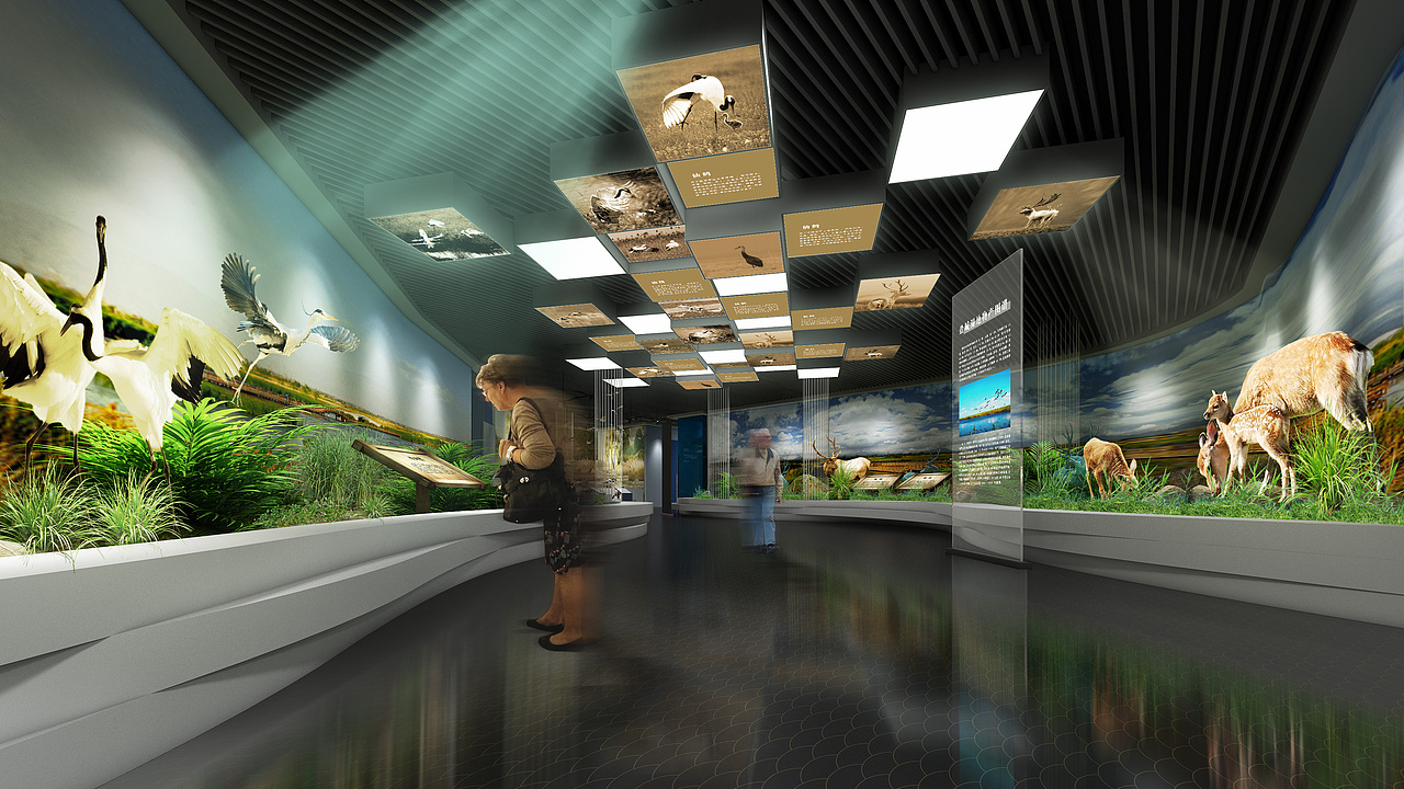 某市博物馆投标方案-自然厅
