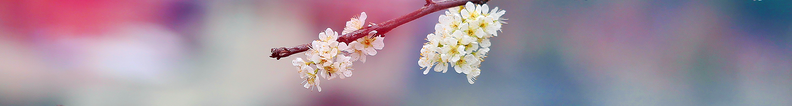 wendy_tsang的个人主页（封面预览） - 主页封面设置 - 站酷设计师wendy_tsang原创素材 - 站酷ZCOOL