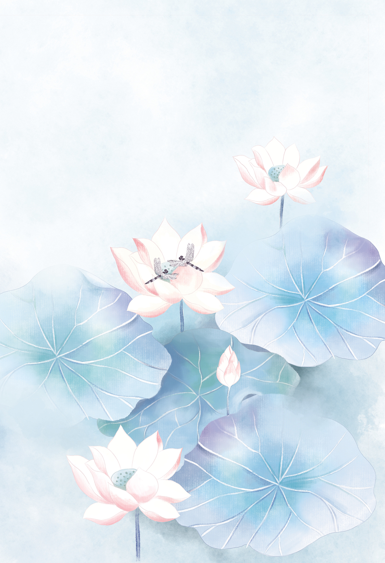 曲池荷系列手账本封面插画