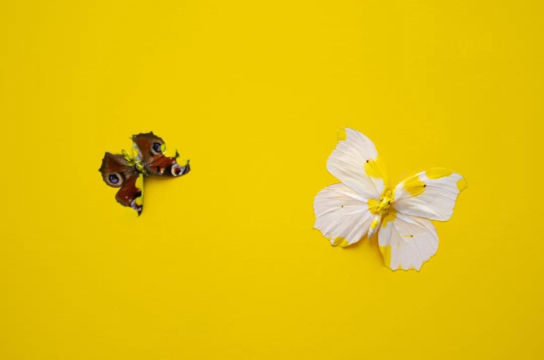 虎色旗袍Pallas的個人主頁（背景預覽） - 主頁背景設(shè)置 - 站酷設(shè)計師虎色旗袍Pallas原創(chuàng)素材 - 站酷ZCOOL