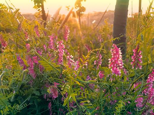 闲暇时间的调色练习（个人主页-ZNTQ1NjY1MjA=） - 修图/后期 - 站酷设计师Sunny8706原创素材 - 站酷ZCOOL