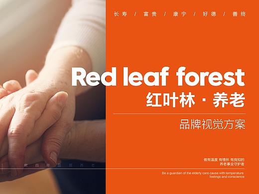 红叶林 养老品牌升级提案